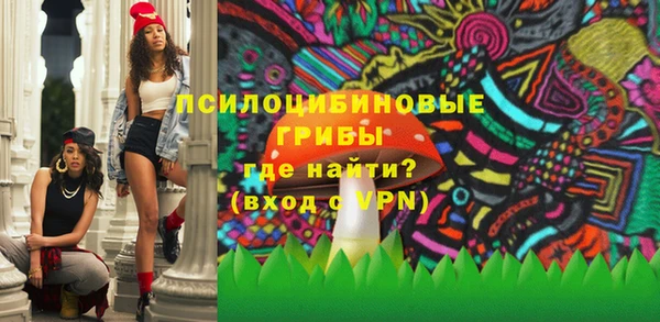 ГАЛЛЮЦИНОГЕННЫЕ ГРИБЫ Белокуриха