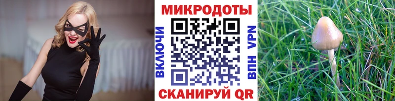 сколько стоит  Велиж  Галлюциногенные грибы ЛСД 